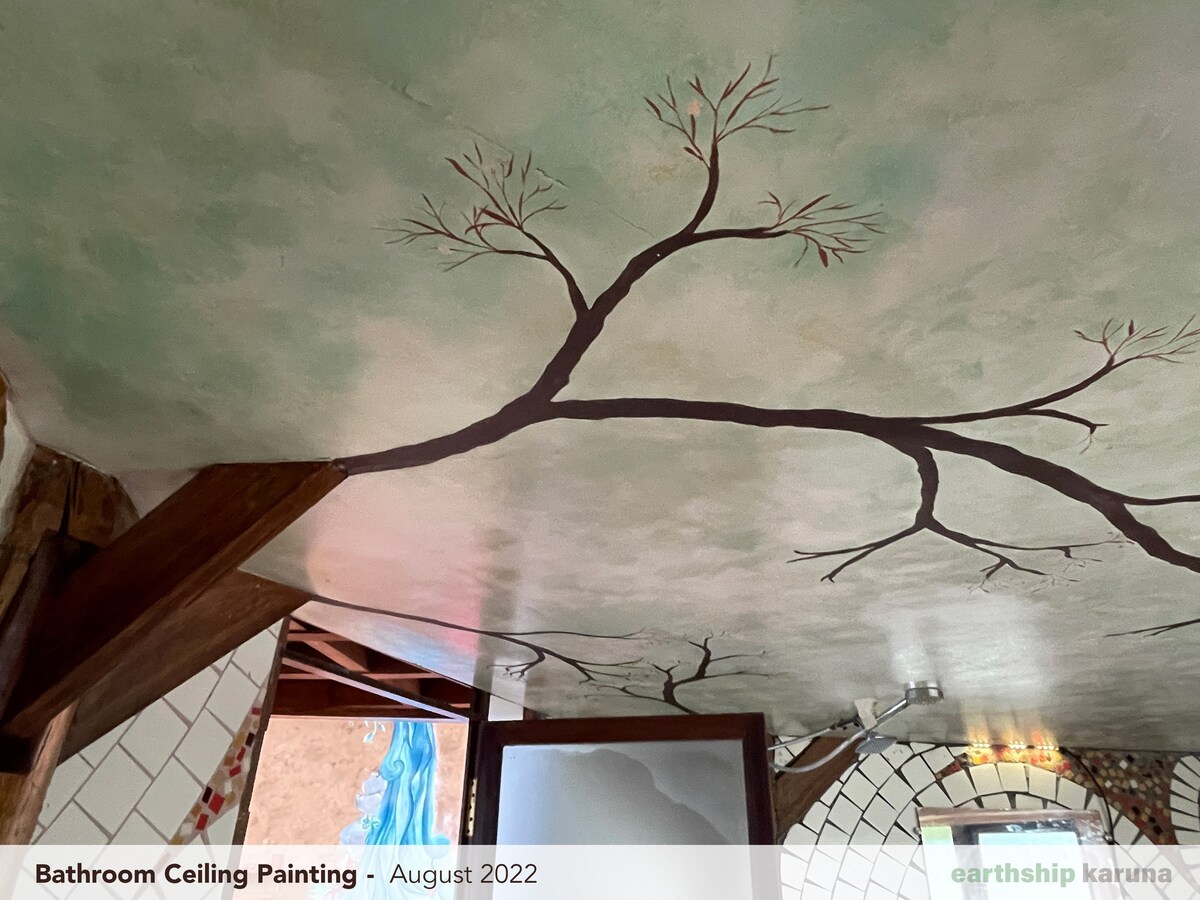 Hand-painted bathroom ceiling — a shared canvas finished by visiting artists