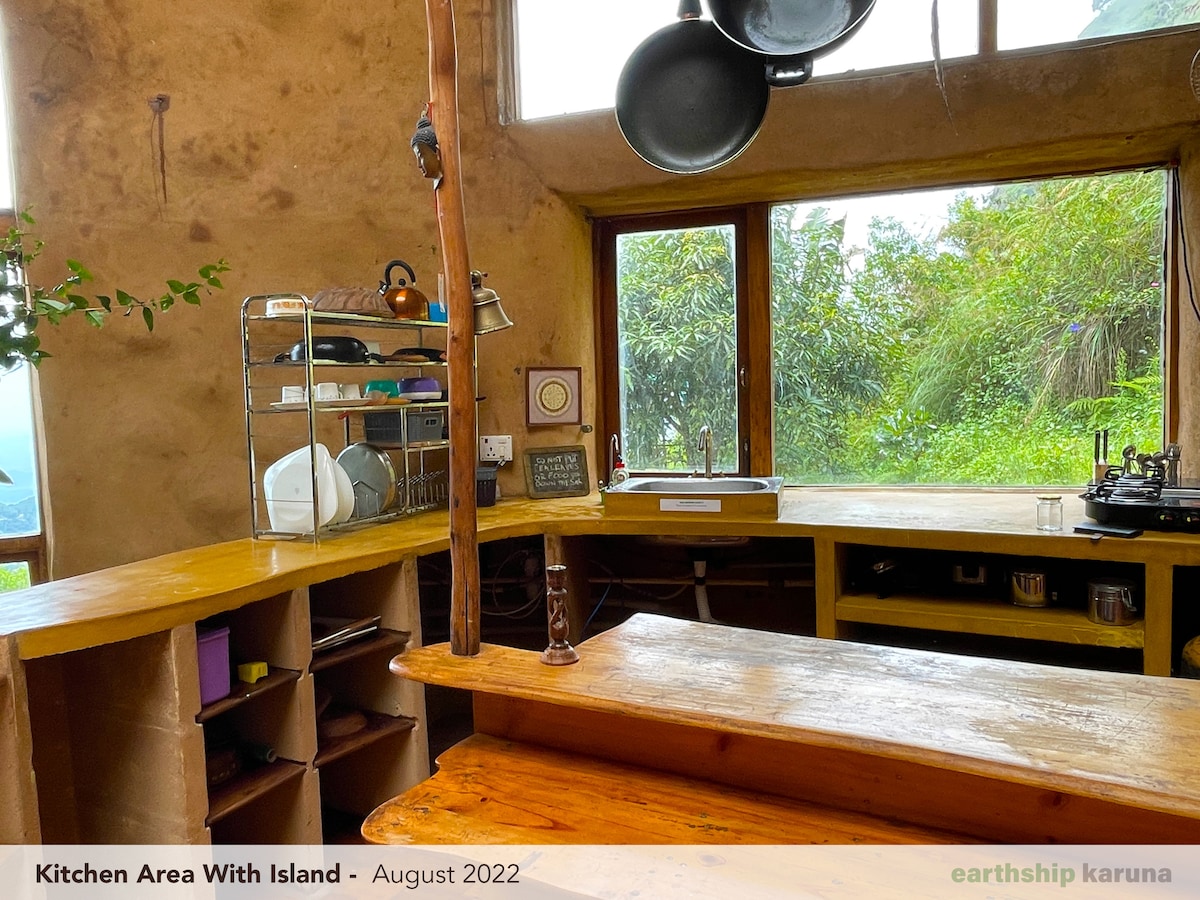 A second view of the kitchen — wood, earth and glass against the hillside