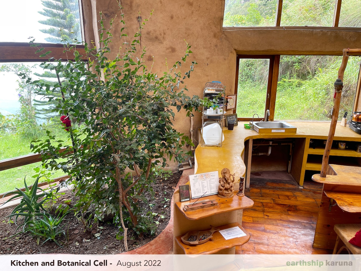 Fully equipped kitchen with the botanical cell beside it — plants growing indoors in the glazed wall